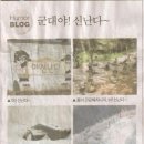 필히 Daum카페