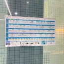 해삼수산 | 보령 현지 맛집 추천 대천항 수산시장 대천항 맛집 횟집 녹도수산 광어회 가리비 백합 해삼 멍게 포장 후기