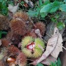 청풍발리호텔 이미지