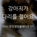 동물병원 왓슨 이미지