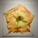 2021 안티고네 | 서울시립미술관 (서소문본관) 한운성 컬렉션 기증기획전 <그림과 현실> 전시회