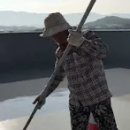 정일도장 네이버블로그