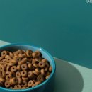 도그도기 이미지