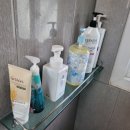 가평댕댕이애견펜션&글램핑골드 이미지