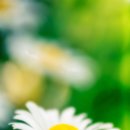 (주)좋은친구들 이미지