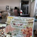 인천 강화도 애견동반 식물카페 메타포레스트 야외자리 보드게임 케이크까지 완벽