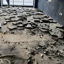 평일초등학교 | 우리 집 난데없이 싹둑! 평택철거는 여기 덕분에 맘 편했어요!