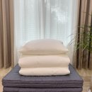 제주귤빛스테이 이미지