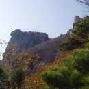 금산 이미지