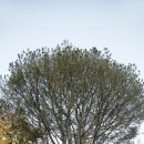 구청 남측광장 이미지