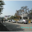 단원미술전시관 이미지