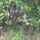 (주)체인지랩 | 9월 셋째주입니당