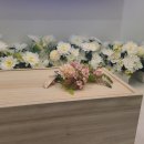 리틀포즈 반려동물 장례식장 이미지