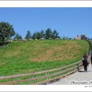 여름목장 이미지