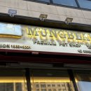 멍블랑 강아지분양 시흥배곧점 이미지