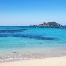 제주 비양도 호니토 이미지