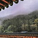 건축사사무소세경