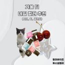 네일바이조