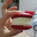달다구 이미지