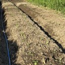 영민하우스 이미지