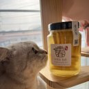 달달한레몬청 | 수제청 레몬청 물에 타먹기 시원한 레몬에이드 만들기 후기