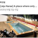 나래세탁 | [제주 서귀포 펜션 추천] 제주나래펜션 숙박 후기