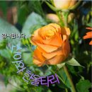 행복한 하루 이미지