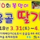응골축제 이미지