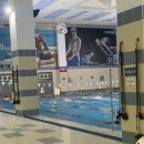 올림픽 해수 사우나 | 강서구 수영덕후가 엠스타휘트니스에 정착한 이유