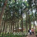 (주)주논소프트 이미지