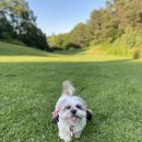 세이브 동물병원 이미지