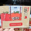 피크닉 이미지