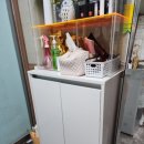 오화체형동안