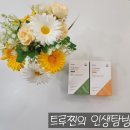 붓기차 부종방지 커피대용 생활한방연구소 바라기 상비차 하비차