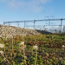 철길풍선 이미지