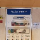 완도에서 배 타고 제주 가기! 블루펄 후기