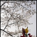 소달초교 이미지