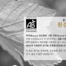 브리스장