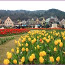 백야가든 이미지