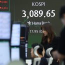 3089 헤럴드경제