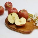 팜플루트 이미지