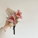 노원-공릉-3298 이미지