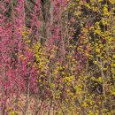 관문성 | 2026.03.07.토.순금산 주말등산후기