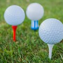 공치는 아이 이미지