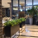 솔라고호텔 이미지