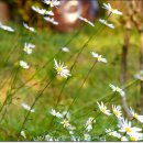 광호농장 이미지