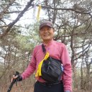 곡성-194 이미지