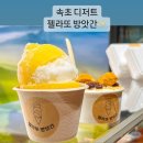 속초 젤라또 맛집 젤라또방앗간 디저트 추천