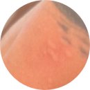 창조카서비스 | [세부 여행] 세부여행 마지막날 한바다호핑 선셋호핑 솔직후기🐟