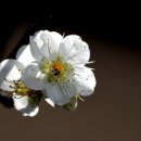 수평선모텔 이미지